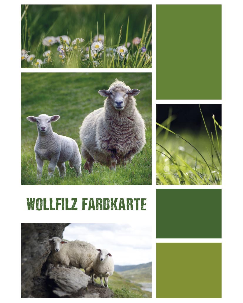 Wollfilz Farbkarte